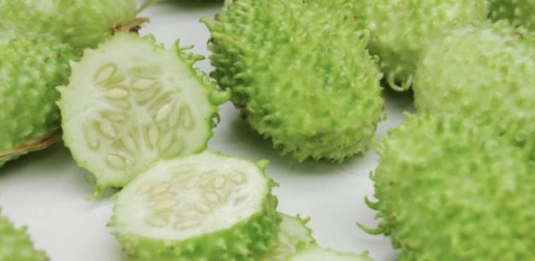Sonhar com Maxixe: 8 Significados Muito Estranhos Revelados!