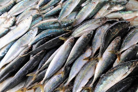 Espinha de peixe na garganta