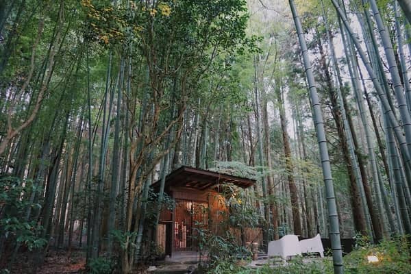 Casa de bambu 