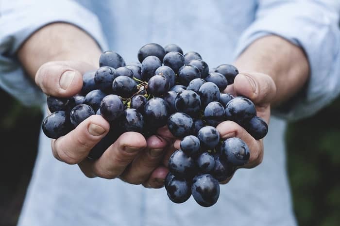 Números da sorte de sonhar com frutas