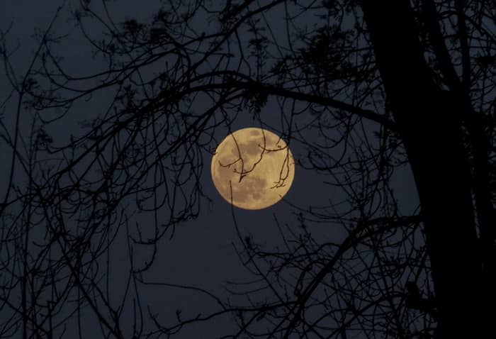 Lua cheia amarela