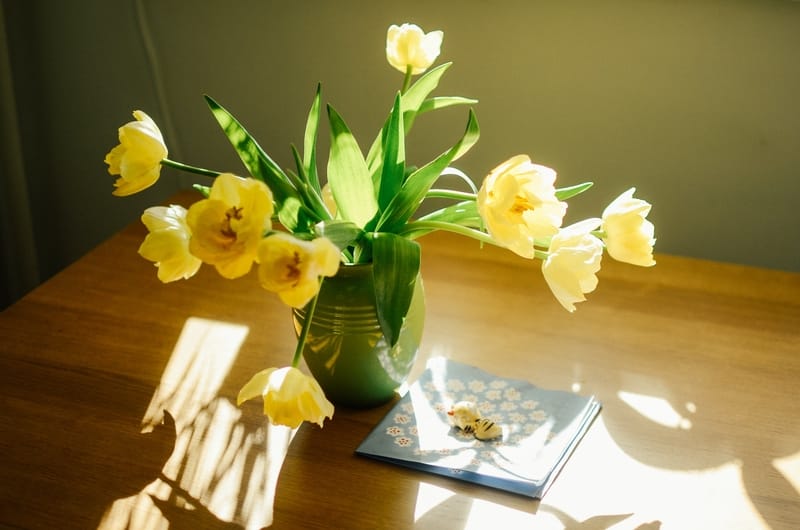 Sonhar com vaso de flores