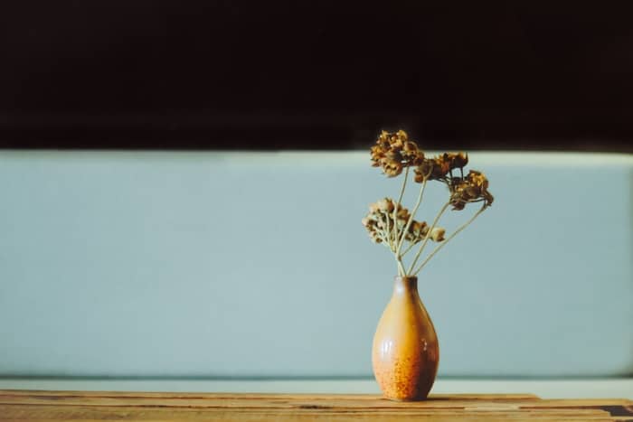 Significado dos vasos com flores nos sonhos