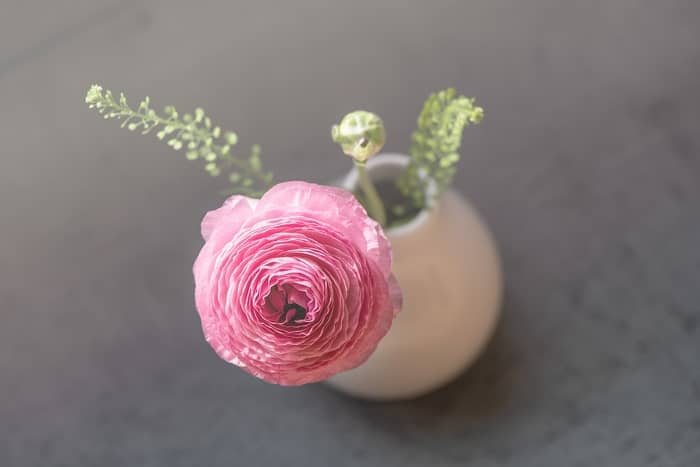 Significado geral das flores