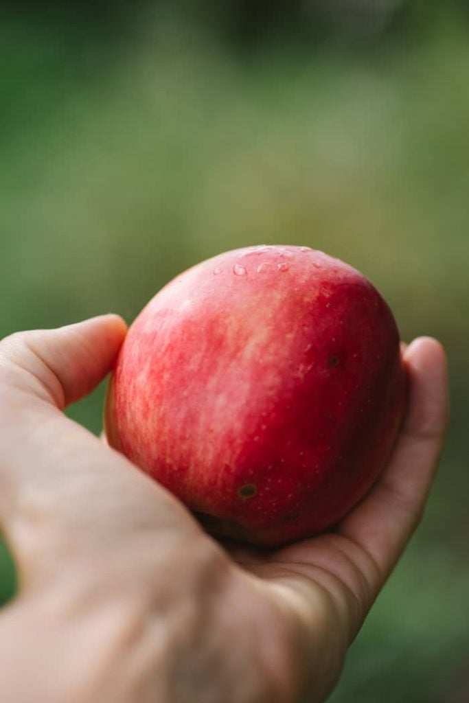 Qual é o significado de sonhar com sedução?