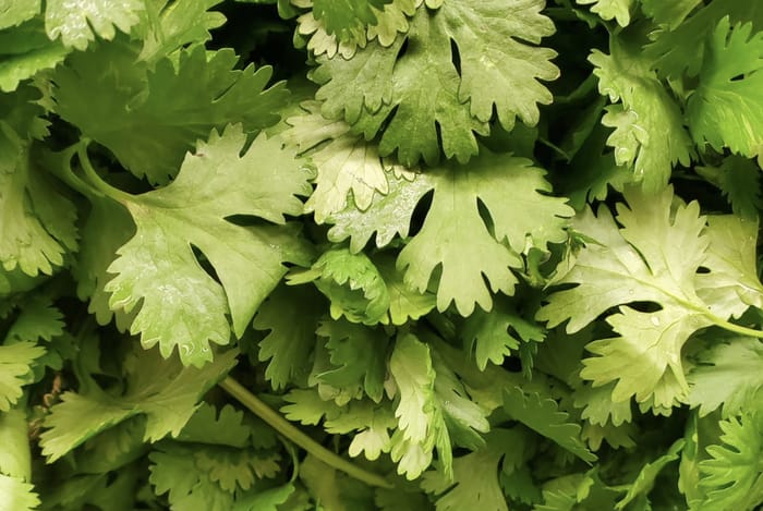 Sonhar com cheiro verde